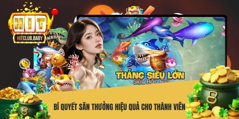 Bí quyết săn thưởng hiệu quả cho thành viên