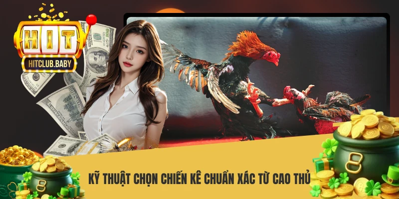 Đá Gà Cựa Dao HITCLUB - Mãn Nhãn Đấu Trường Sát Thương Cao Kỹ thuật chọn chiến kê chuẩn xác từ cao thủ