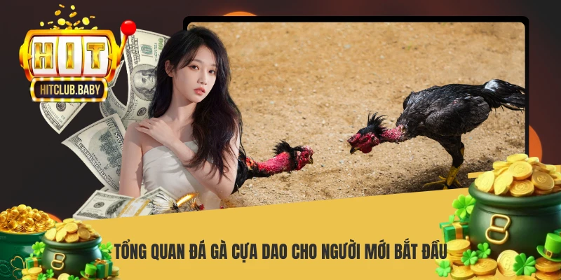 Đá Gà Cựa Dao HITCLUB - Mãn Nhãn Đấu Trường Sát Thương Cao Tổng quan đá gà cựa dao cho người mới bắt đầu